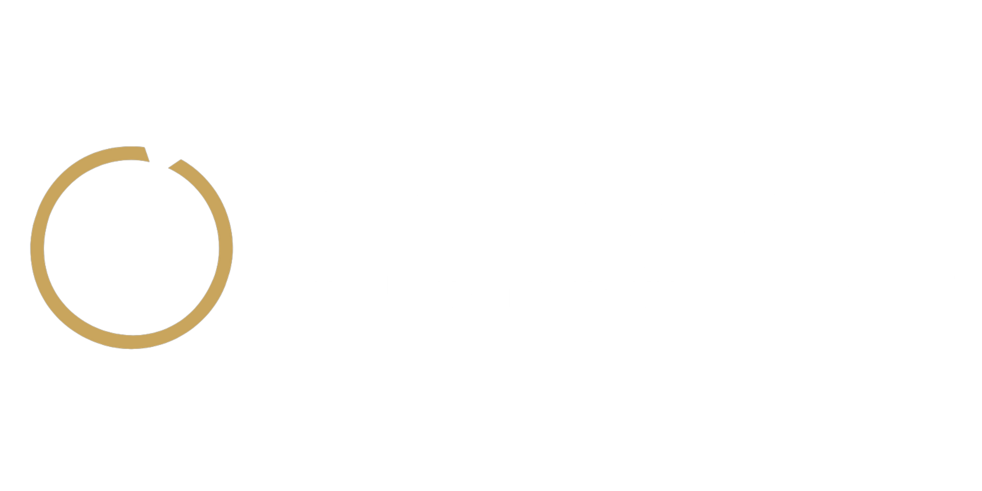 SystemMensch · Struktur statt Schmerz